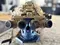 Quad-tube panoramic night vision goggles mounted on a camouflage helmet